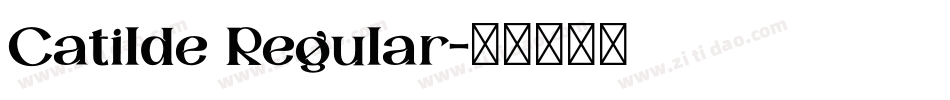 Catilde Regular字体转换
